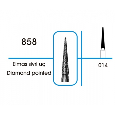 Diamond Pointed 858
