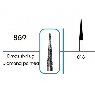 Diamond Pointed 859
