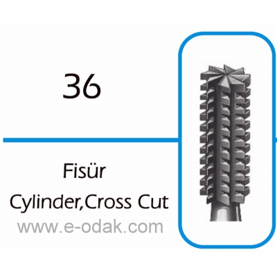 Cylinder, Cross Cut