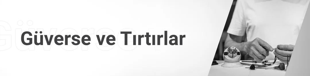 Güverse ve Tırtırlar Güverse ve Tırtırlar