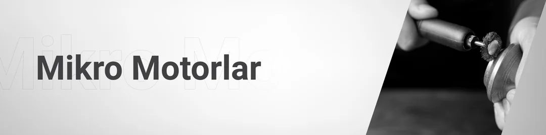 Mikromotorlar Mikromotorlar