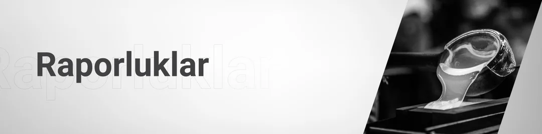 Raporluklar Raporluklar